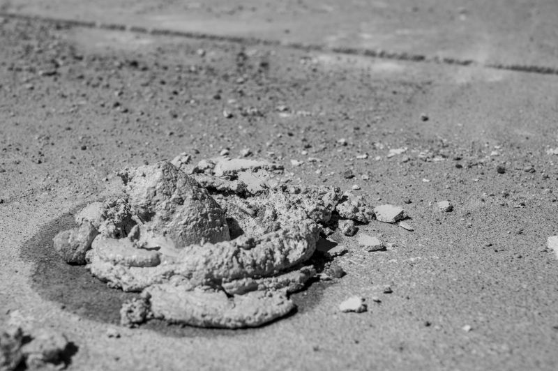 Professional Repair Process